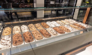 Evolution P100, vetrina pasticceria, gelateria